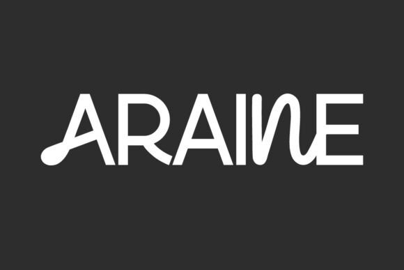 Araine Font: A Modern Typeface for Small Business Branding