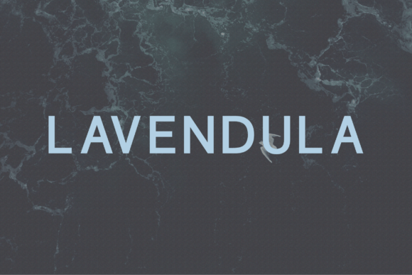 Lavendula Typeface Review for Modern Branding