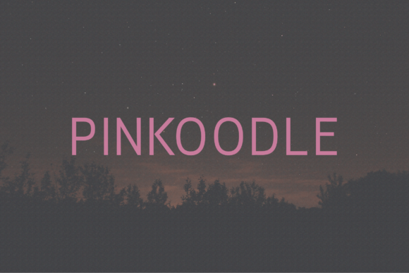 Pinkoodle: The Modern Sans Serif Typeface for Clear Campaigns