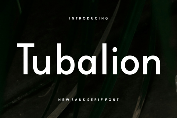 Tubalion: A Modern Sans Serif Typeface for Branding